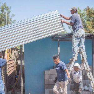 Putting up the roof