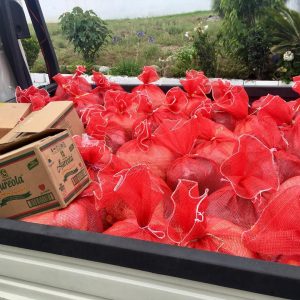 Bags of food ready to be distributed