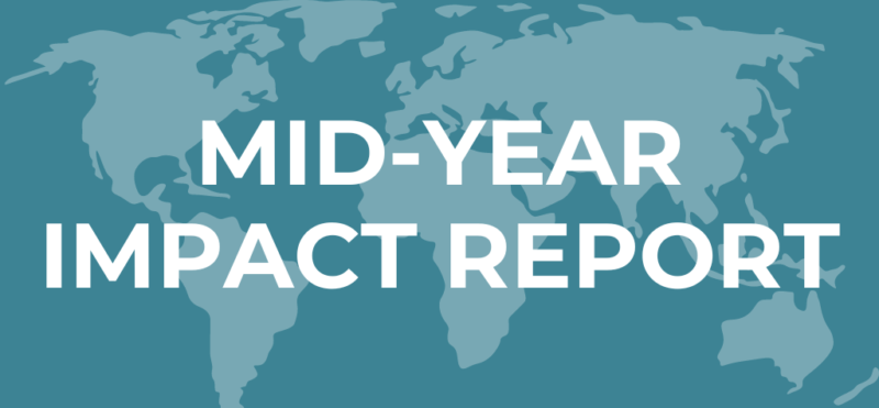 impact report banner